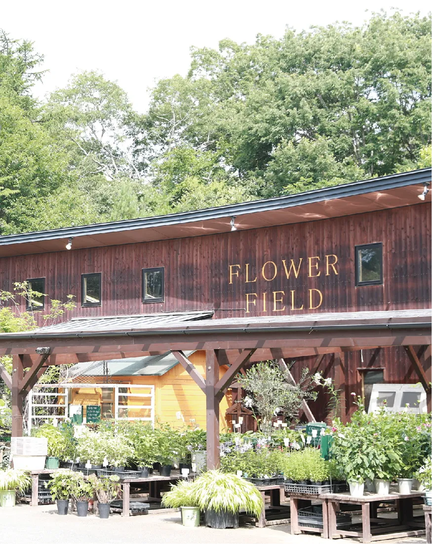 創業当時のフラワーフィールド